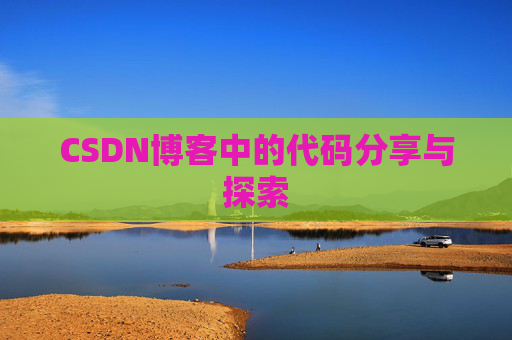 CSDN博客中的代码分享与探索